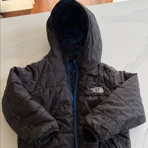 The North Face Black Quilted Jacket with Blue Lining